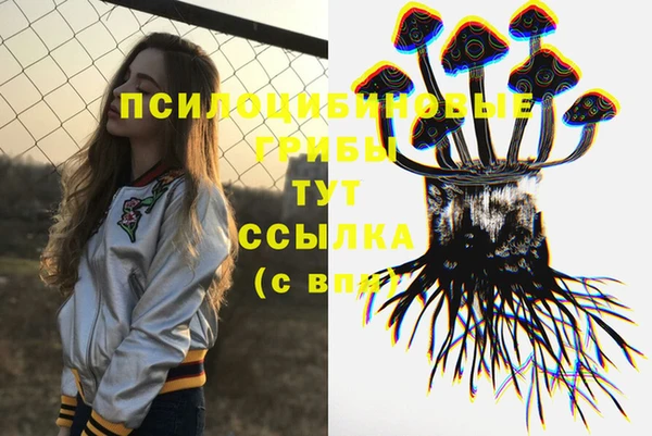 герыч Пестово