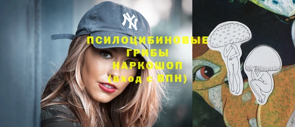 PSILOCYBIN Осташков