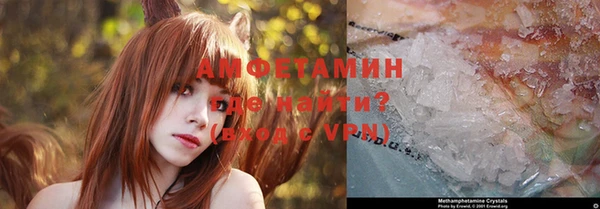 мет Пересвет