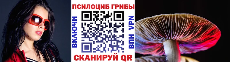 Псилоцибиновые грибы мухоморы  купить   Хотьково 